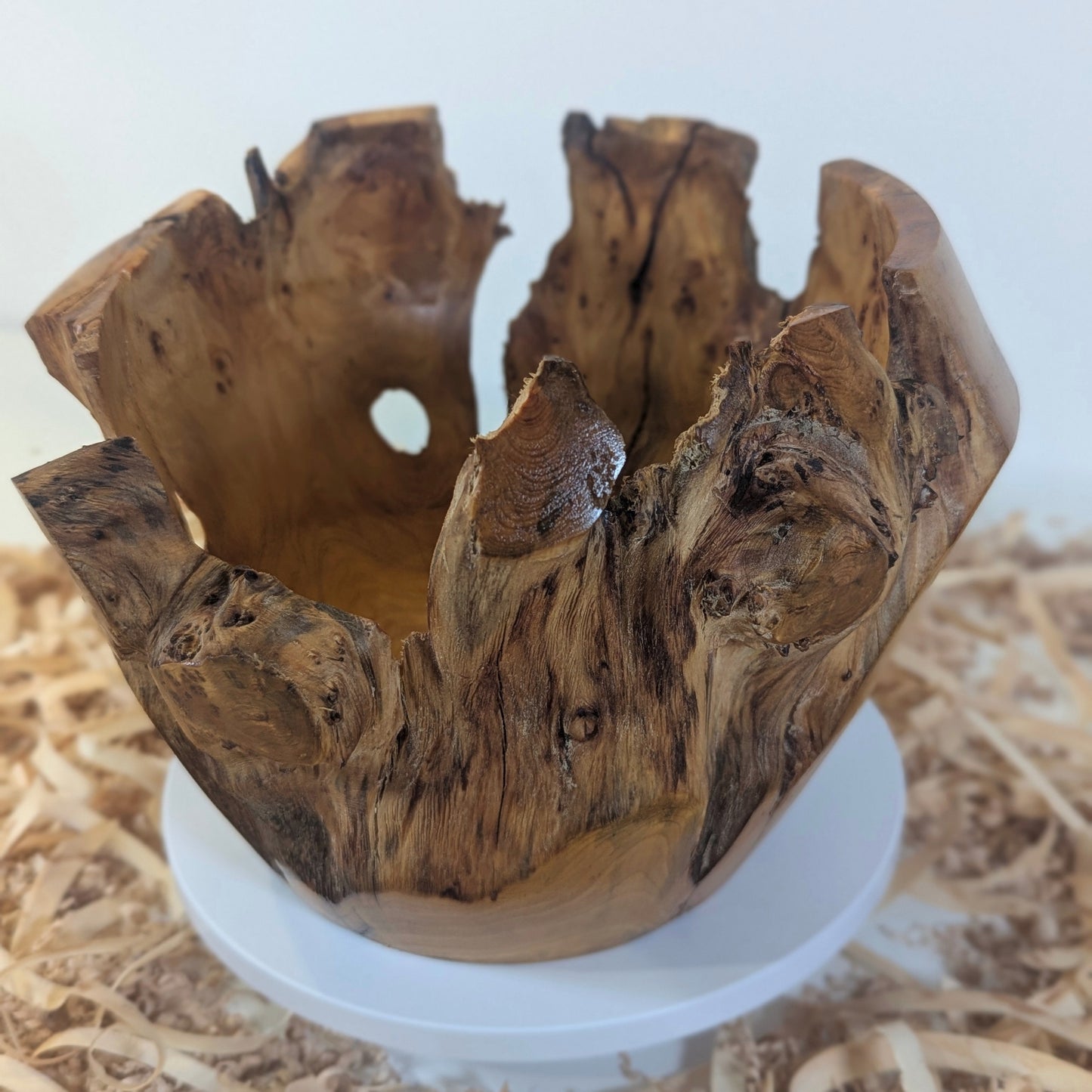 Pot en Thuya – Bord Naturel (6-06-15-1)