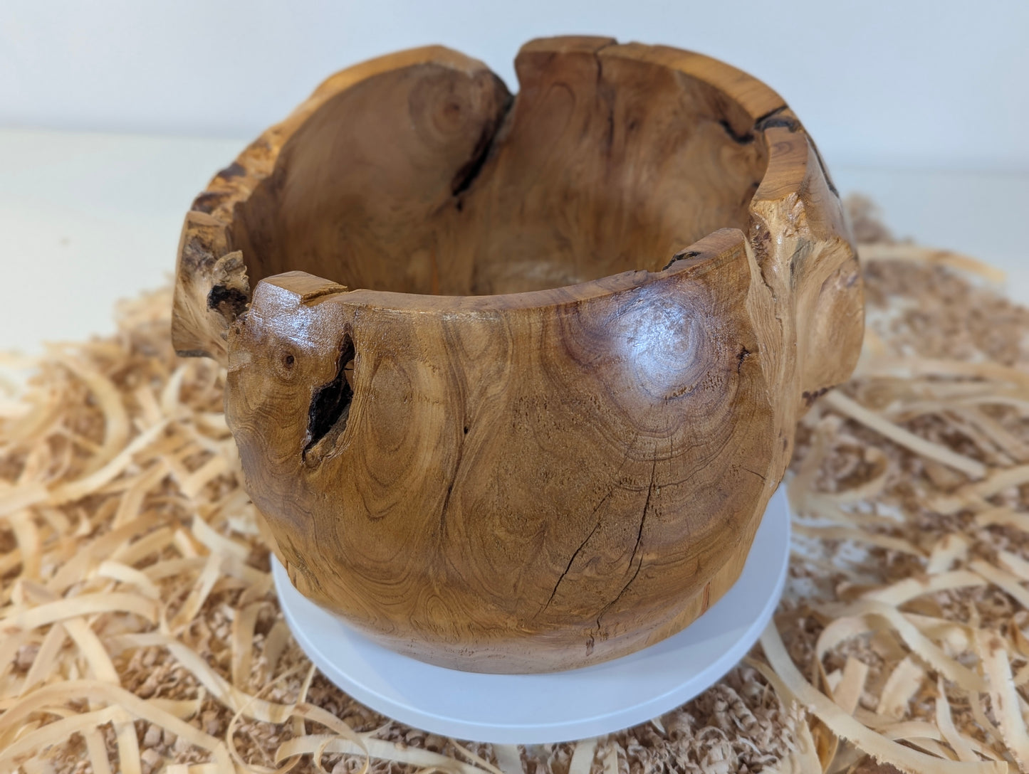Pot en Thuya – Bord Naturel (6-02-06-15)