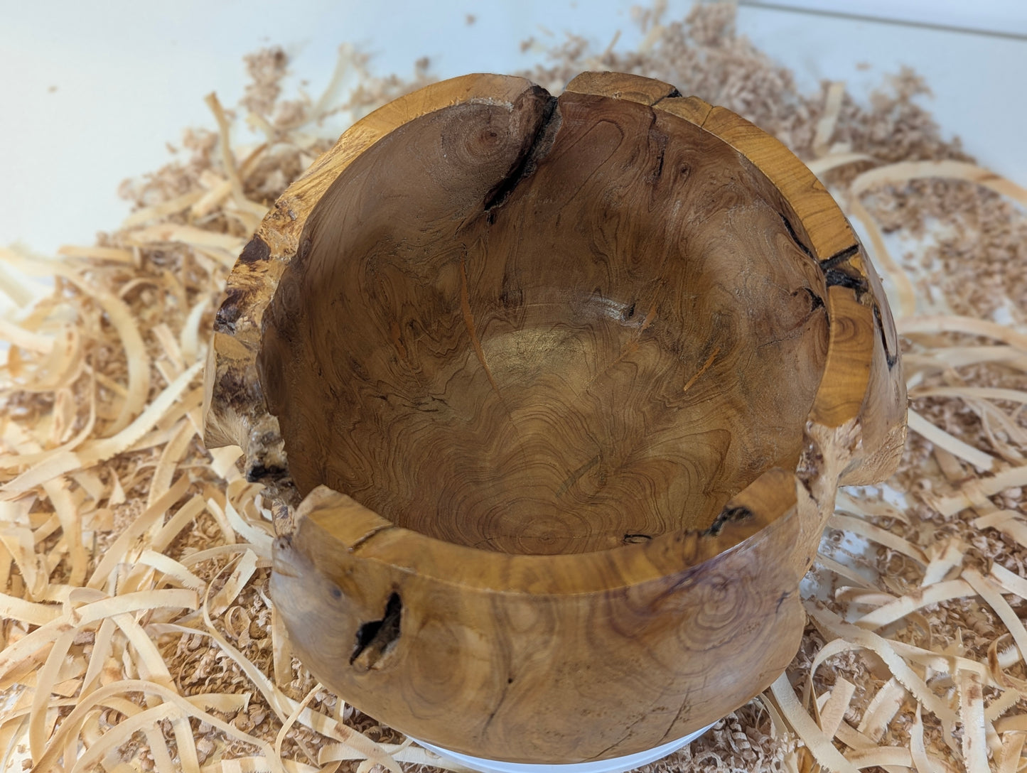 Pot en Thuya – Bord Naturel (6-02-06-15)