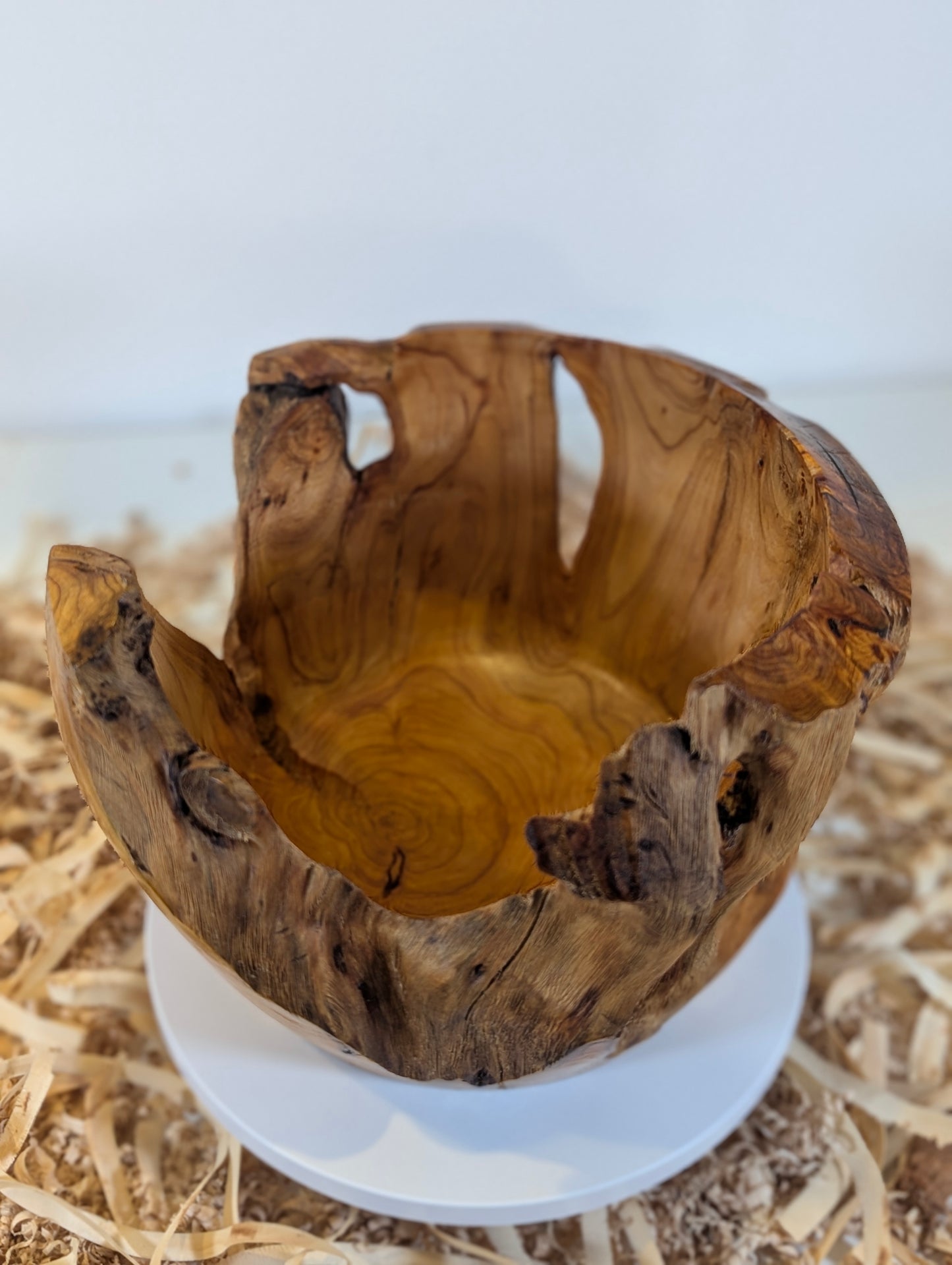 Pot en Thuya – Bord Naturel (6-07-24-1)