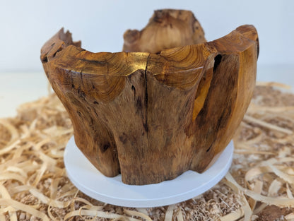 Pot en Thuya – Bord Naturel (6-07-24-1)