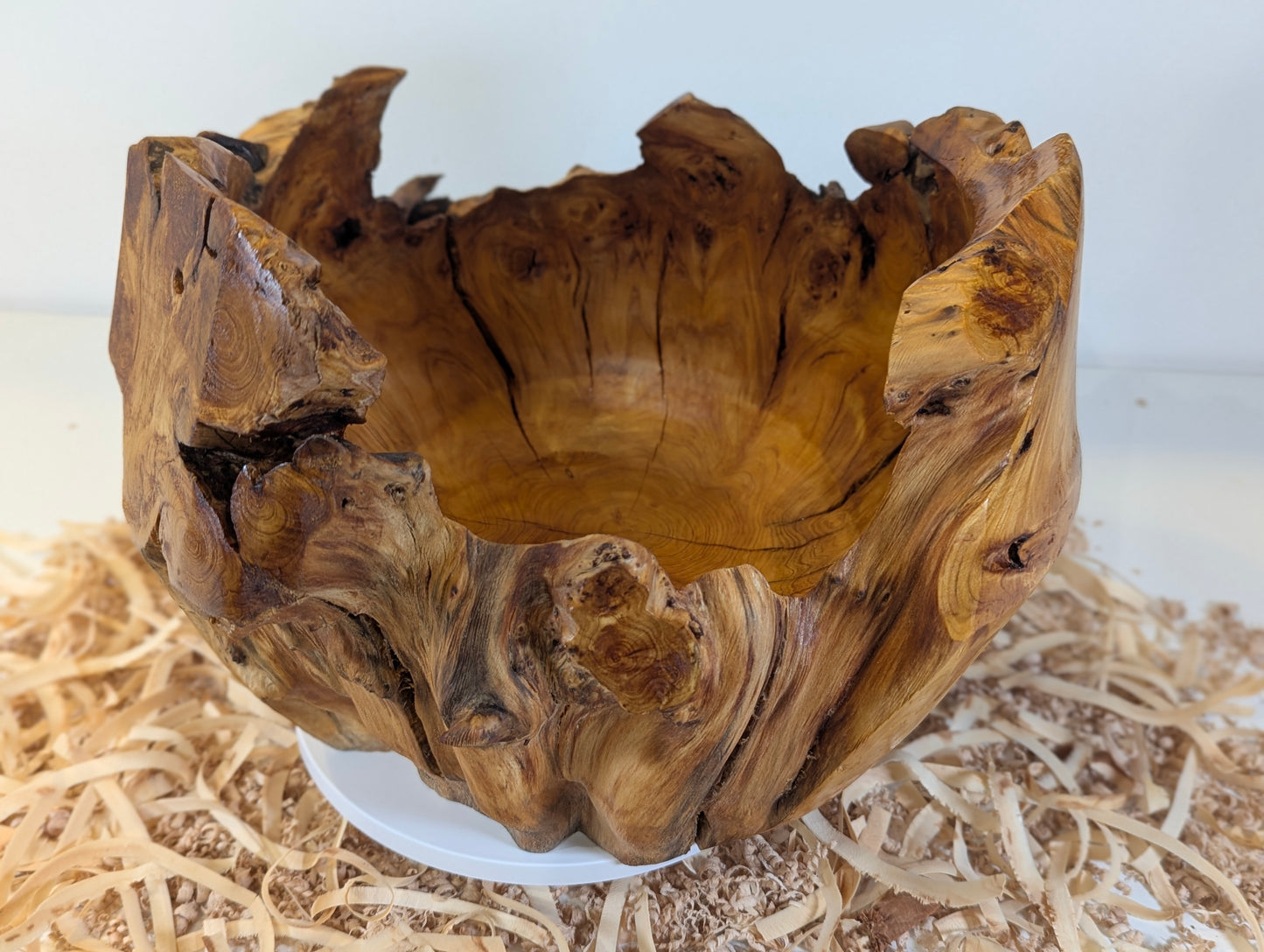 Pot en Thuya – Bord Naturel (6-07-28-1)