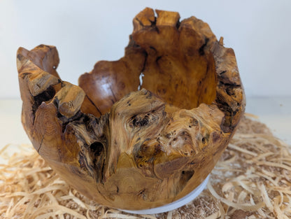 Pot en Thuya – Bord Naturel (6-07-28-1)