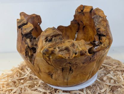 Pot en Thuya – Bord Naturel (6-07-28-1)