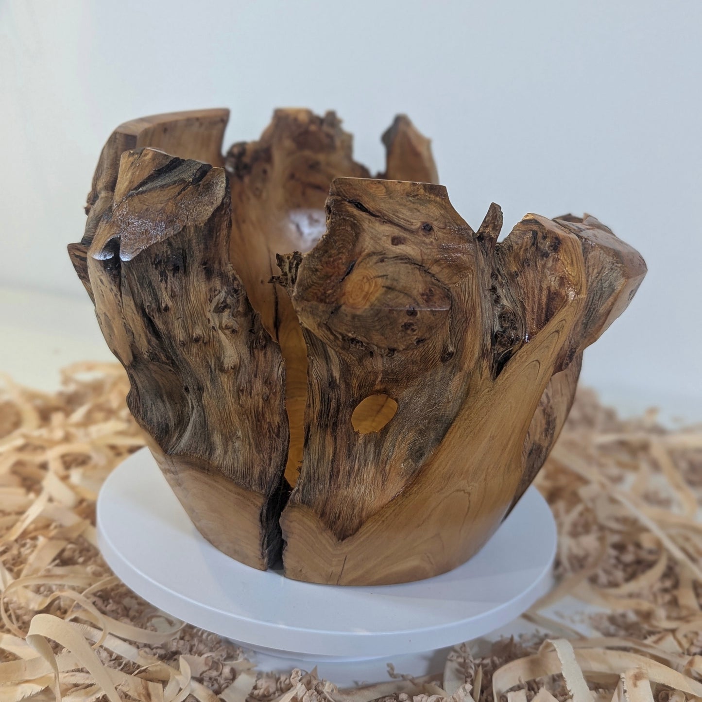 Pot en Thuya – Bord Naturel (6-06-15-1)
