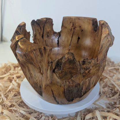Pot en Thuya – Bord Naturel (6-06-15-1)