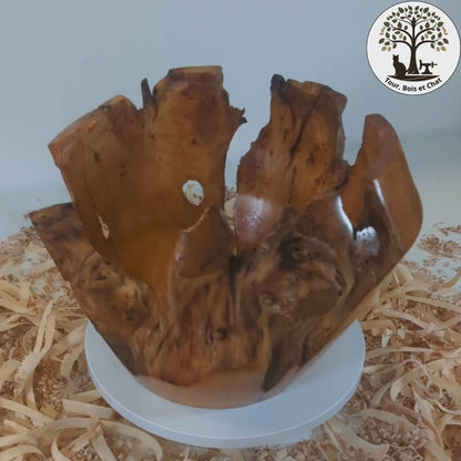 Pot en Thuya – Bord Naturel (6-06-15-1)