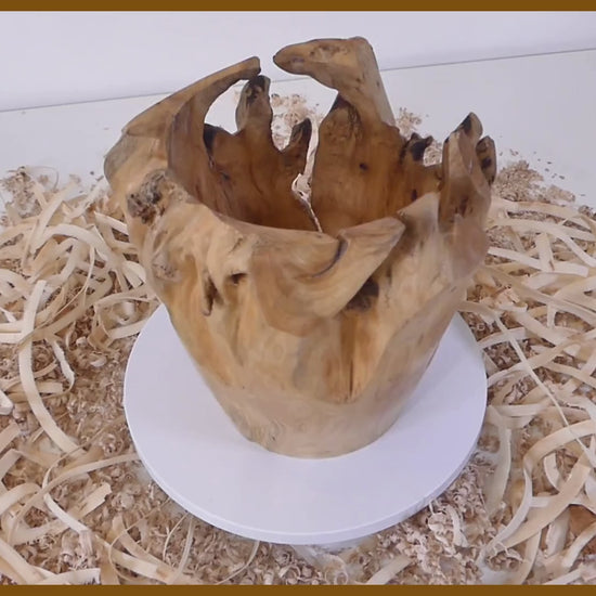 Tour, Bois et Chat. Pot tourné à la main en souche de thuya, finition huile de tung et cire. 3 pièces uniques disponibles. Fabrication artisanale en France.