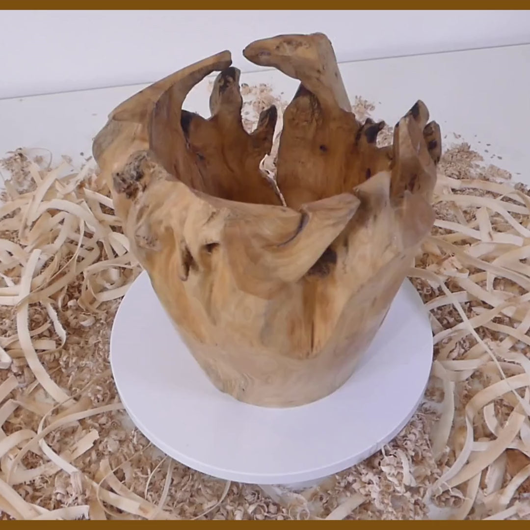 Tour, Bois et Chat. Pot tourné à la main en souche de thuya, finition huile de tung et cire. 3 pièces uniques disponibles. Fabrication artisanale en France.